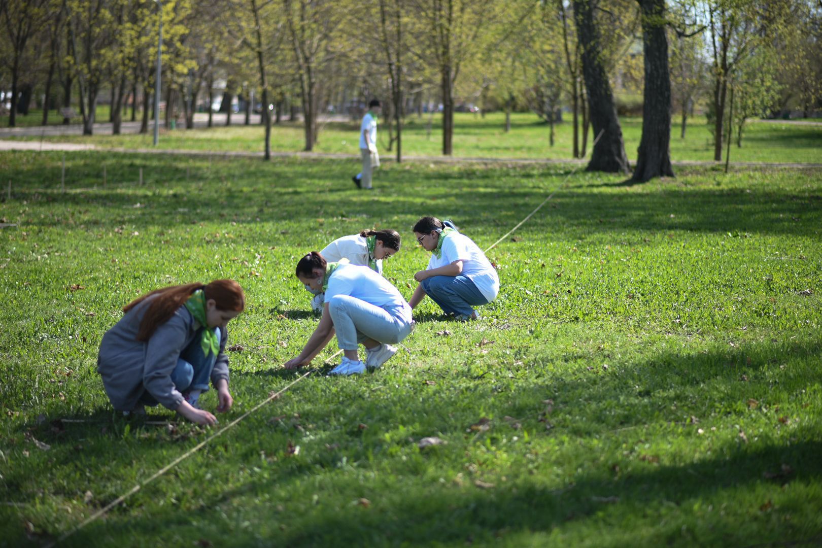 Бронницы, деревья, юбилей