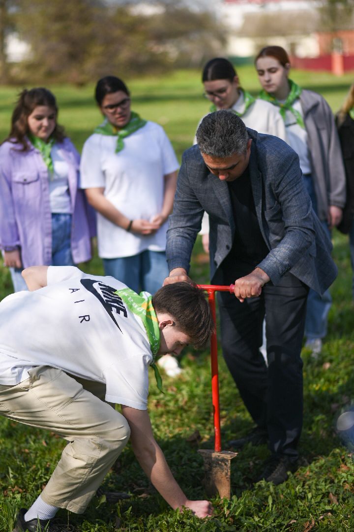 Бронницы, деревья, юбилей