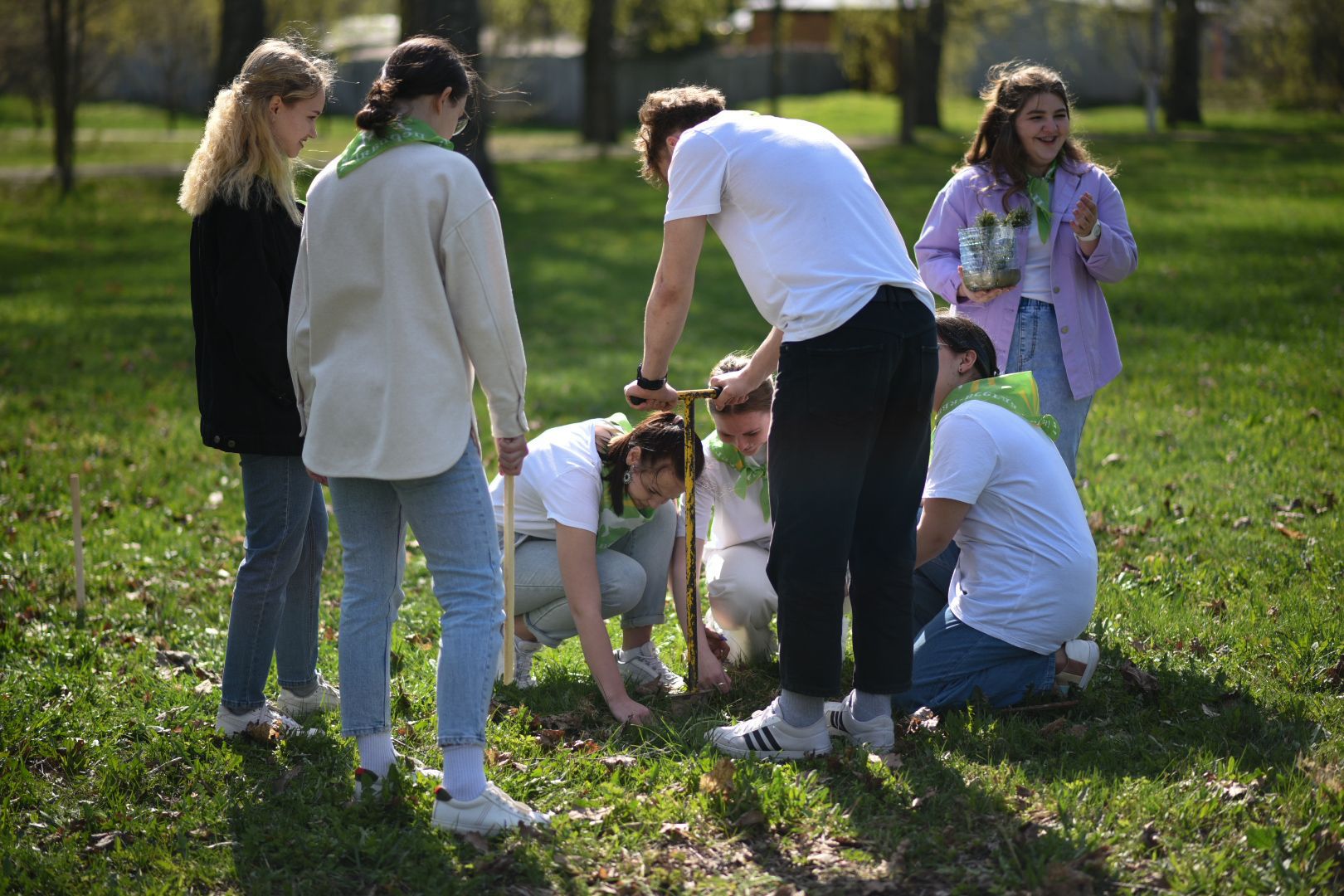 Бронницы, деревья, юбилей