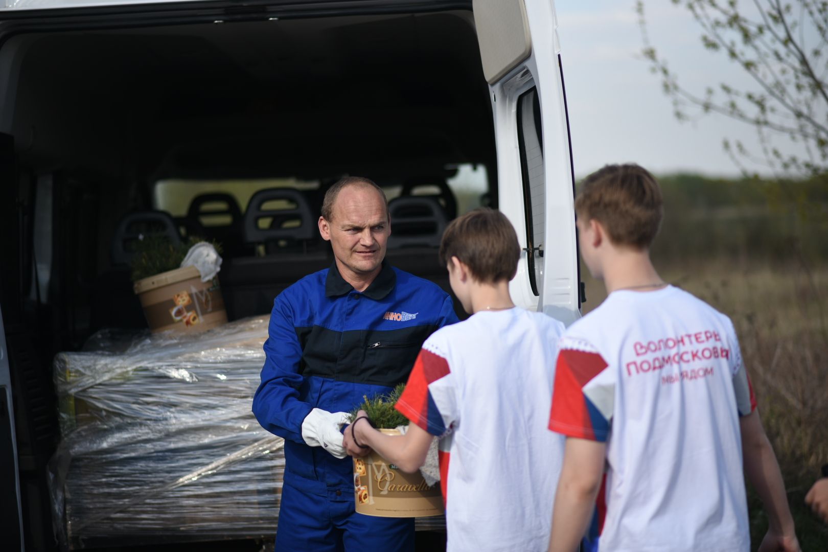 Бронницы, деревья, юбилей