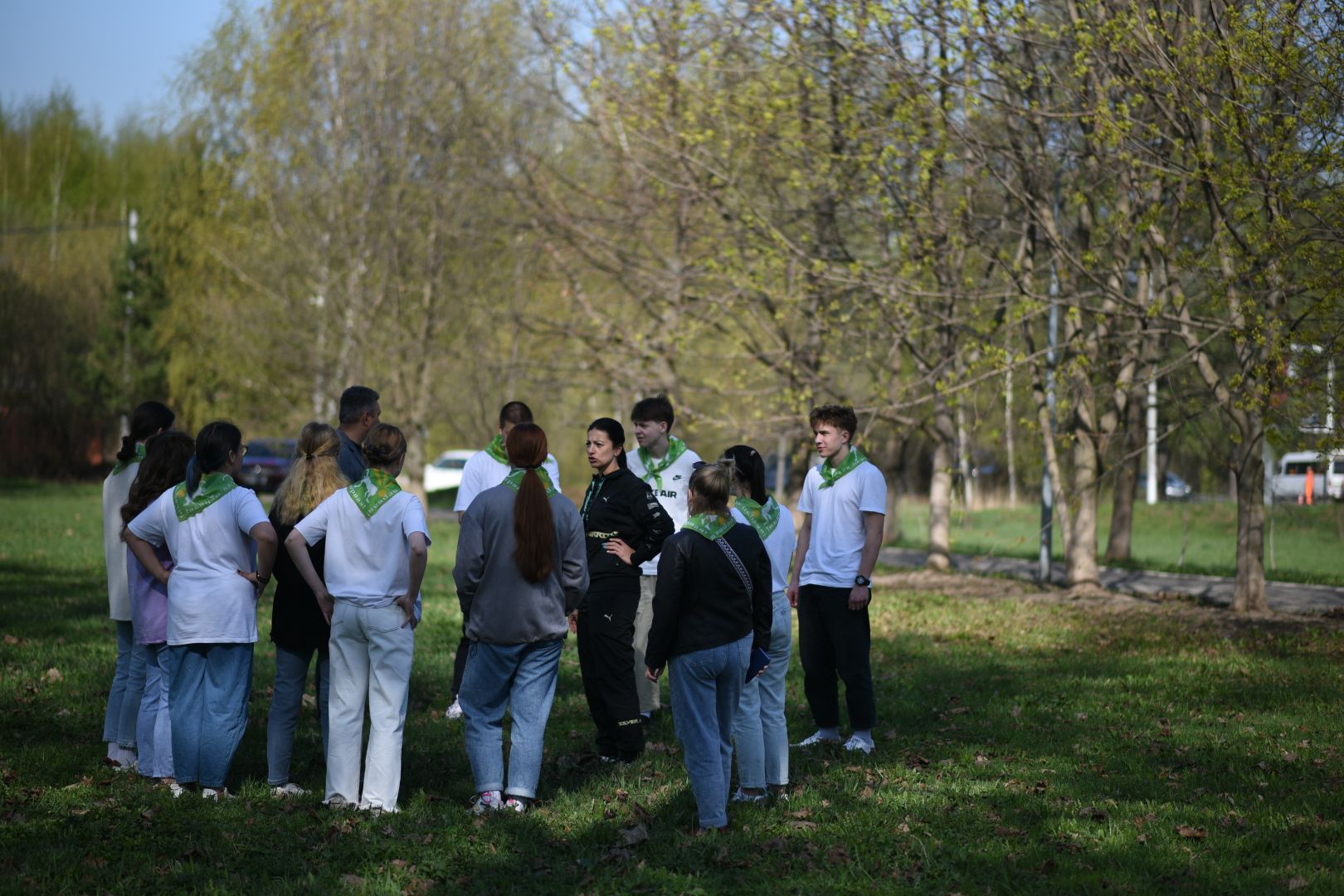 Бронницы, деревья, юбилей