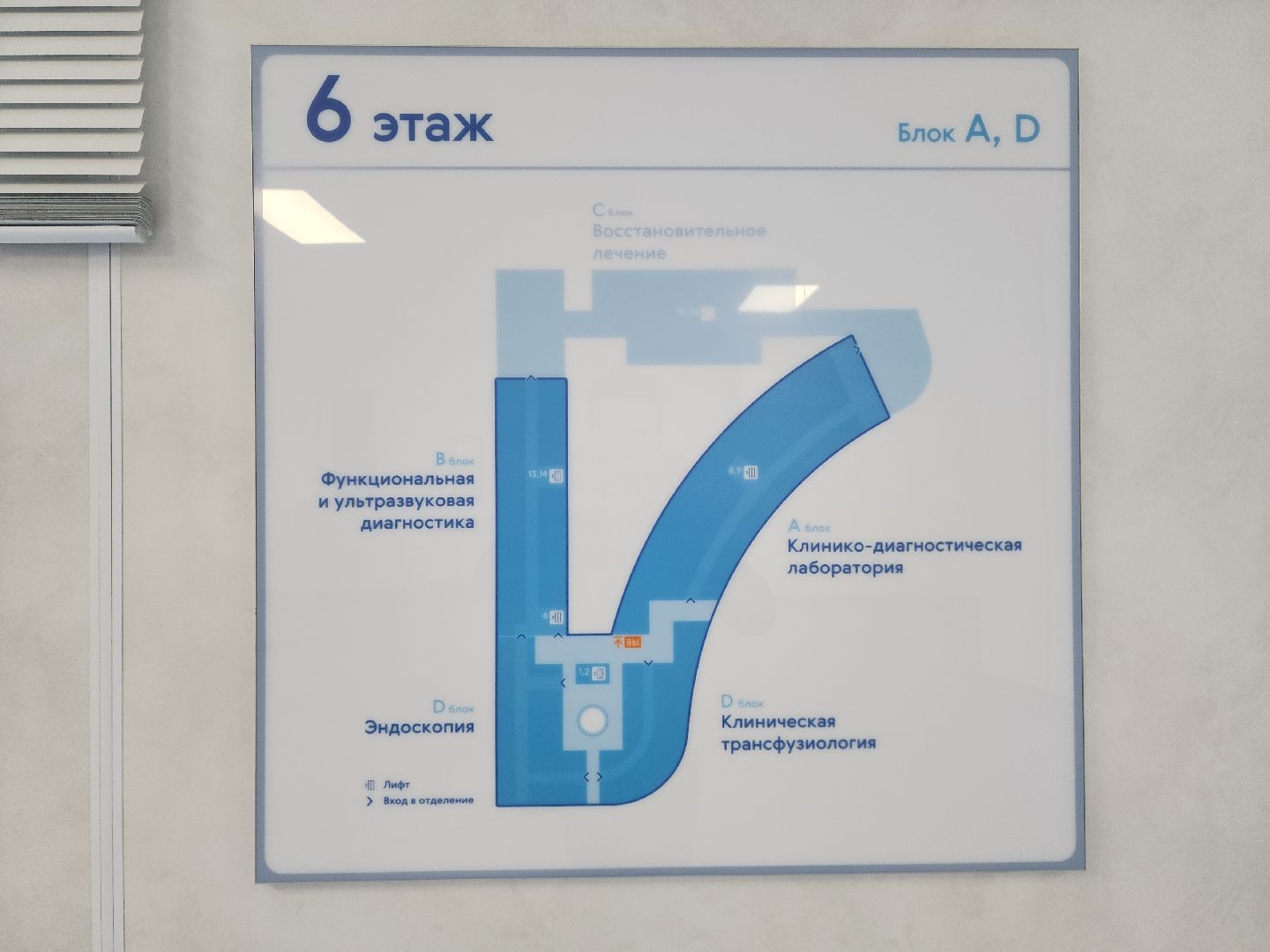 вертикалки, рошаль, эндоскопическое отделение, врач,красногорск,