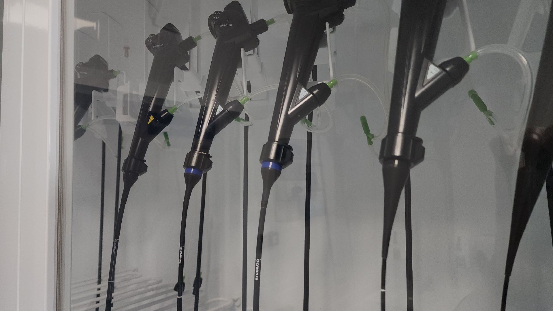 вертикалки, рошаль, эндоскопическое отделение, врач,красногорск,