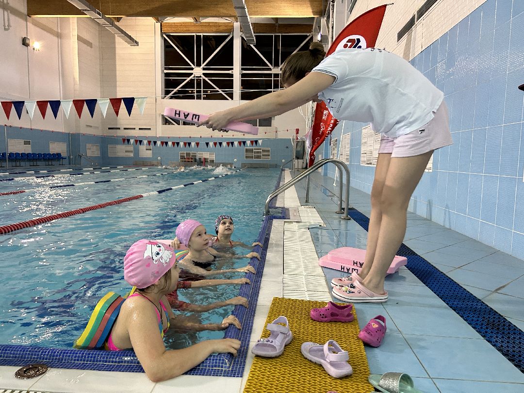 Фрязино, общество