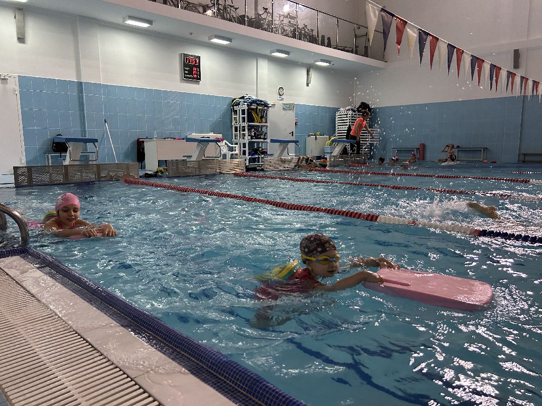 Фрязино, общество