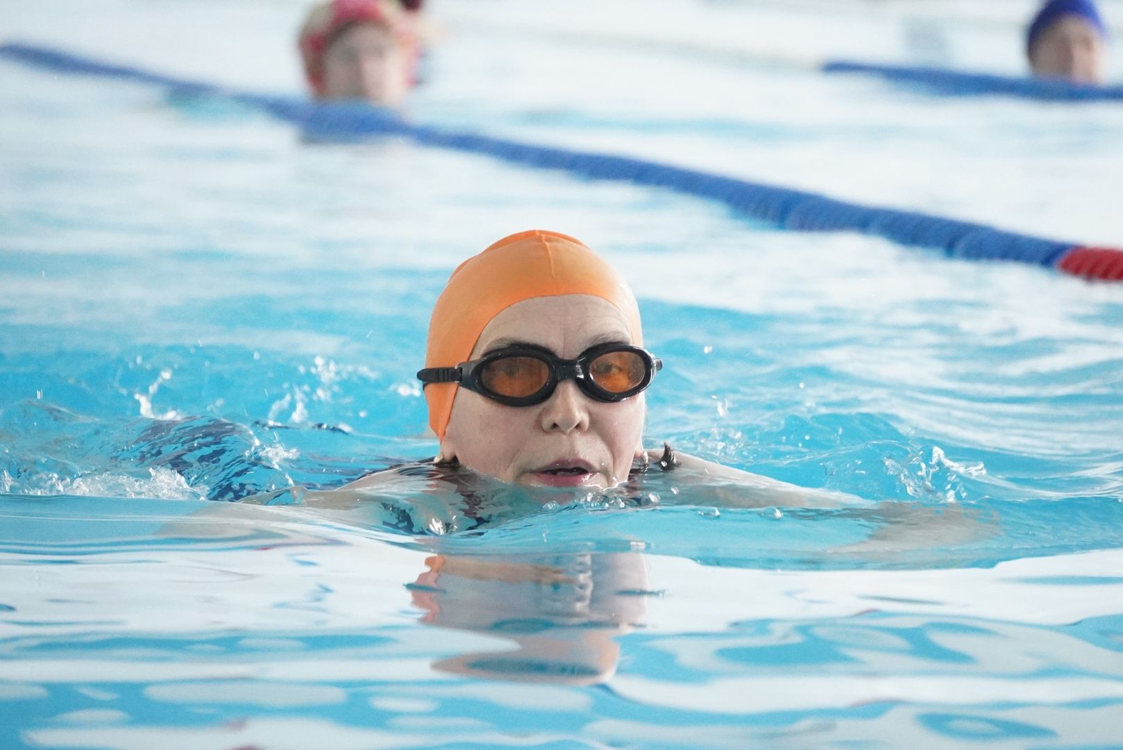 вертикалки, павловский посад, спорт,