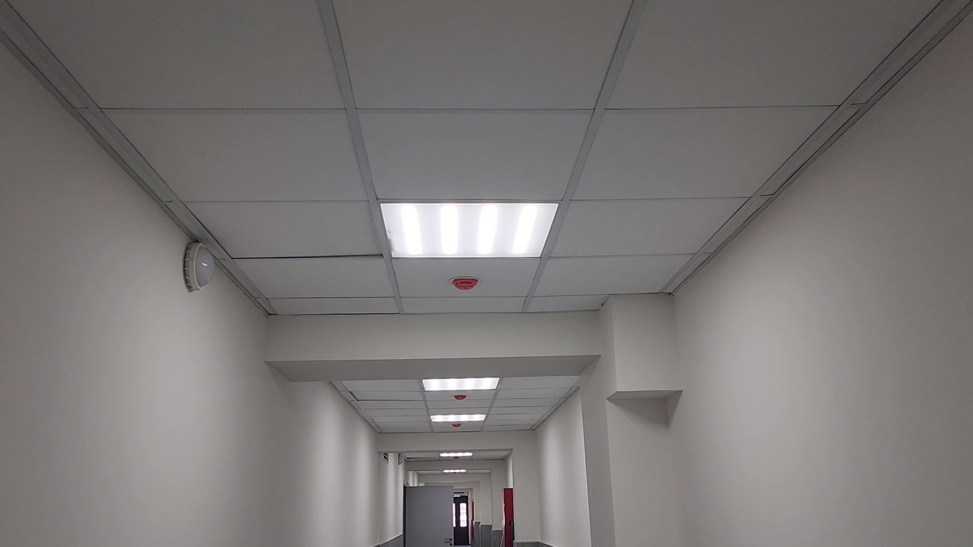 королёв, стадион, чайка, спорт,