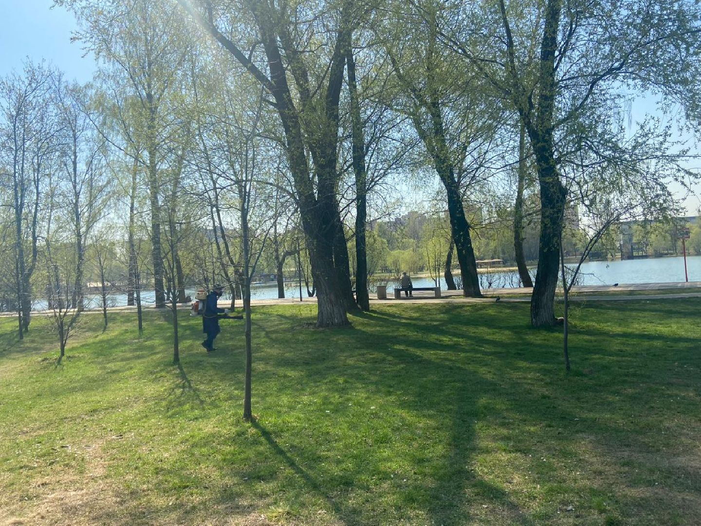 Реутов, парк, вода, Фабричный пруд, обработка, клещи