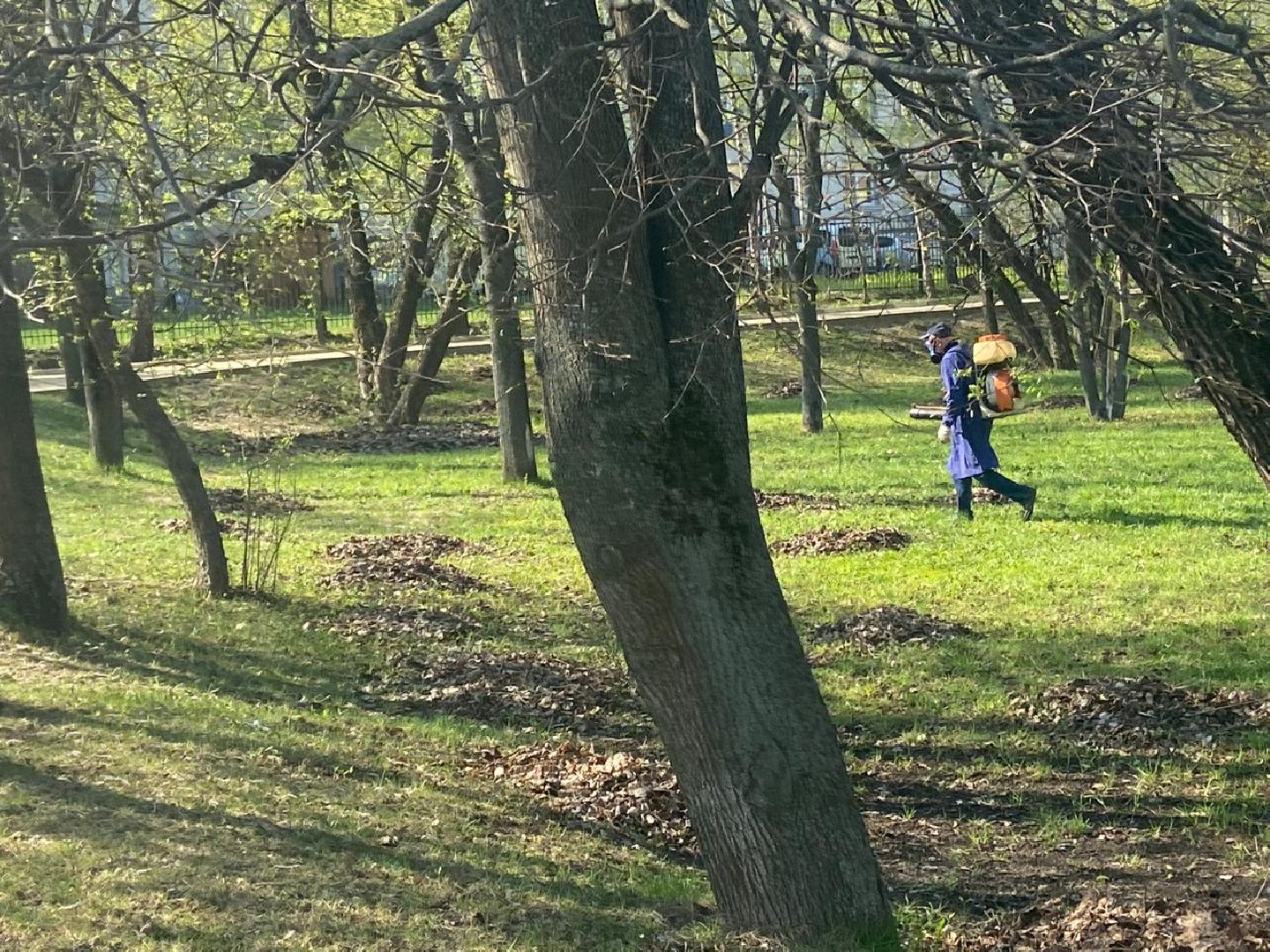 Реутов, парк, вода, Фабричный пруд, обработка, клещи