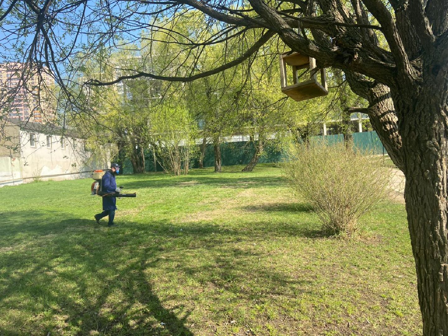 Реутов, парк, вода, Фабричный пруд, обработка, клещи