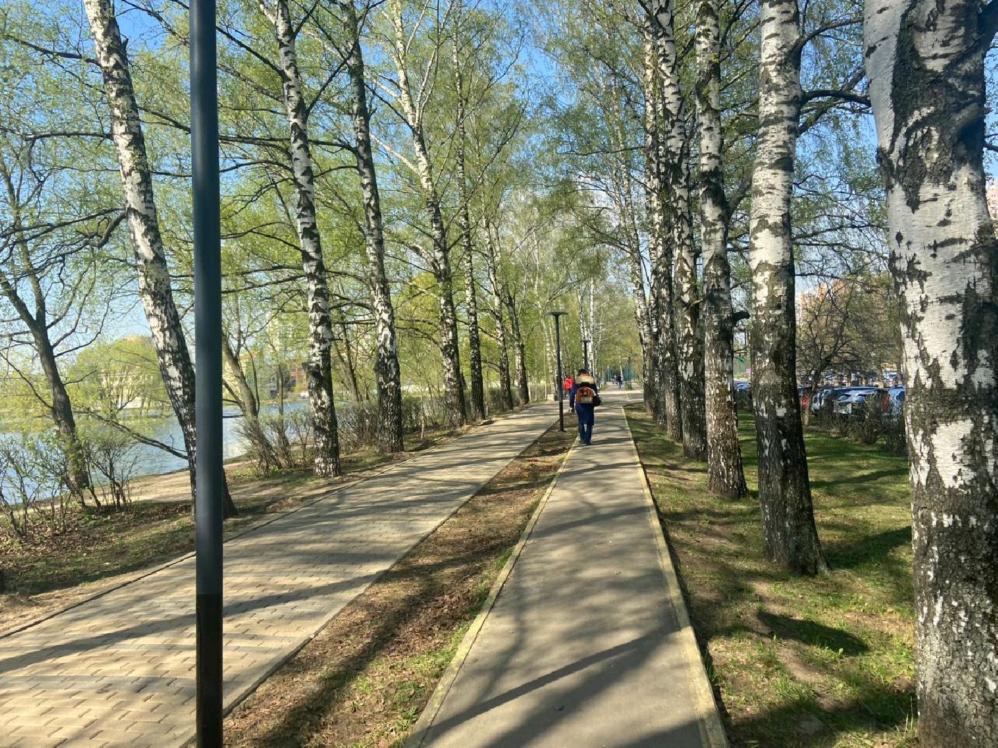 Реутов, парк, вода, Фабричный пруд, обработка, клещи