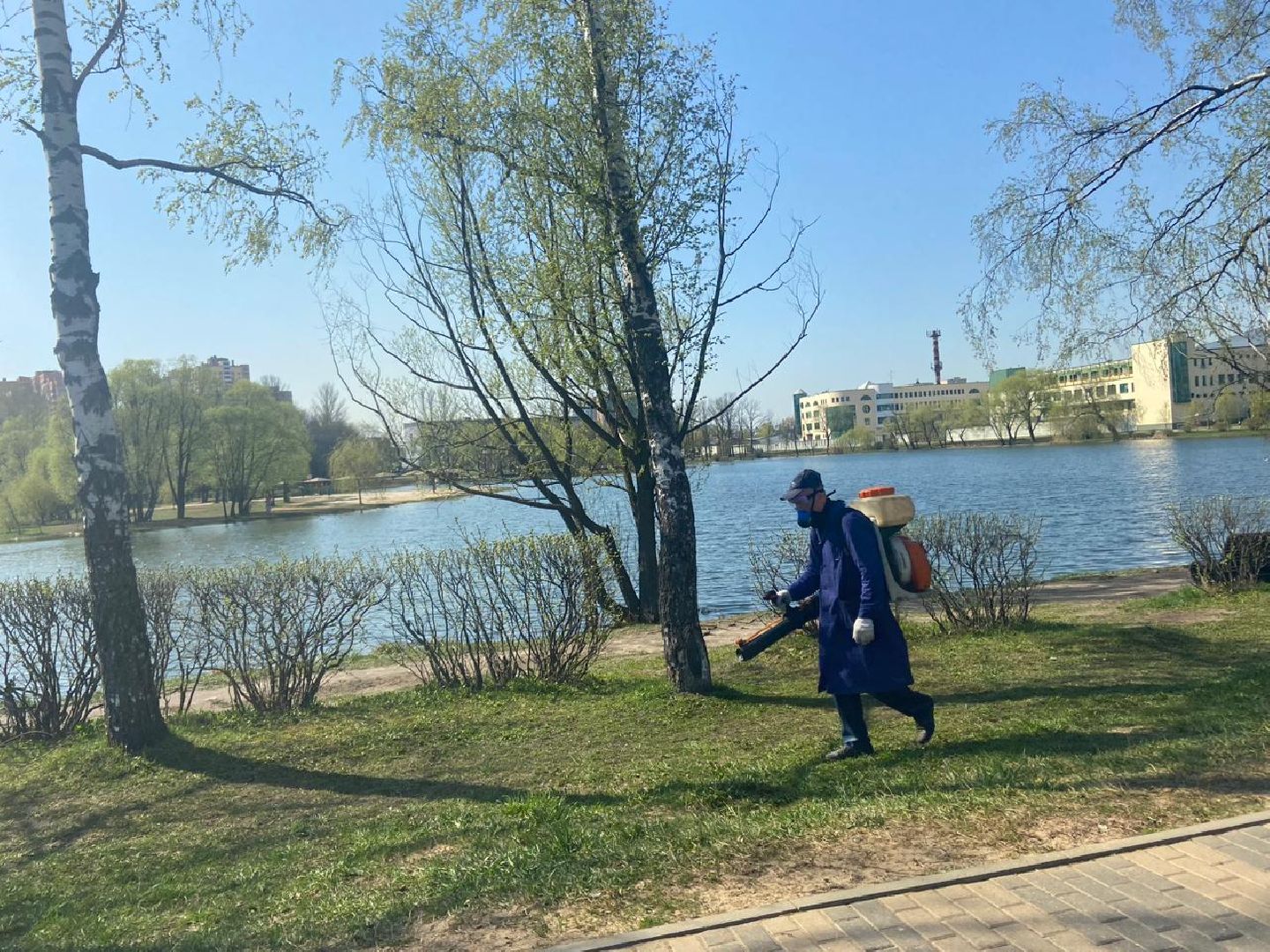 Реутов, парк, вода, Фабричный пруд, обработка, клещи