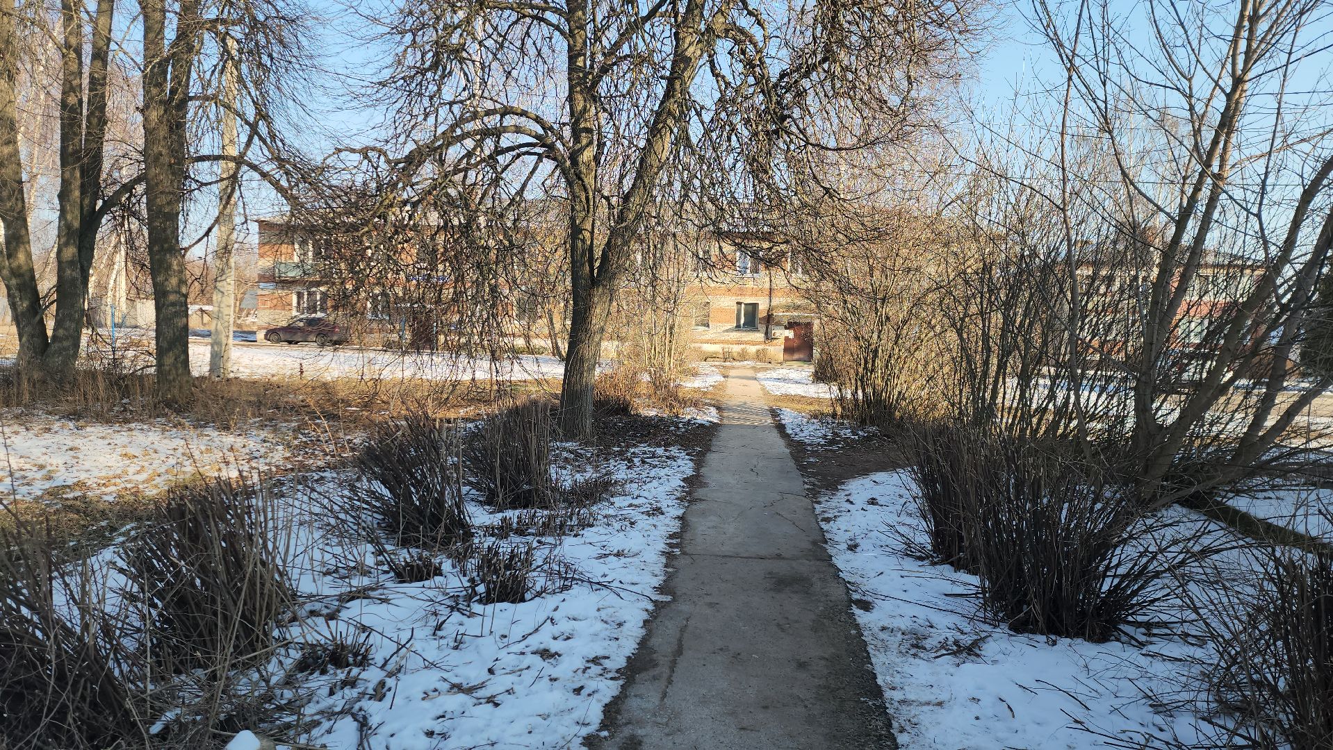 Луховицы, Фруктовая, Григорьевское, народные тропы, вертикалки