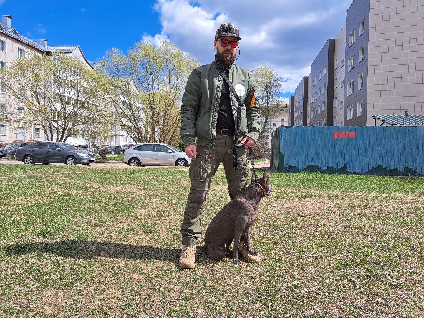 Рузский городской округ, выгул собак, животные, площадки для собак, добродел, голосование