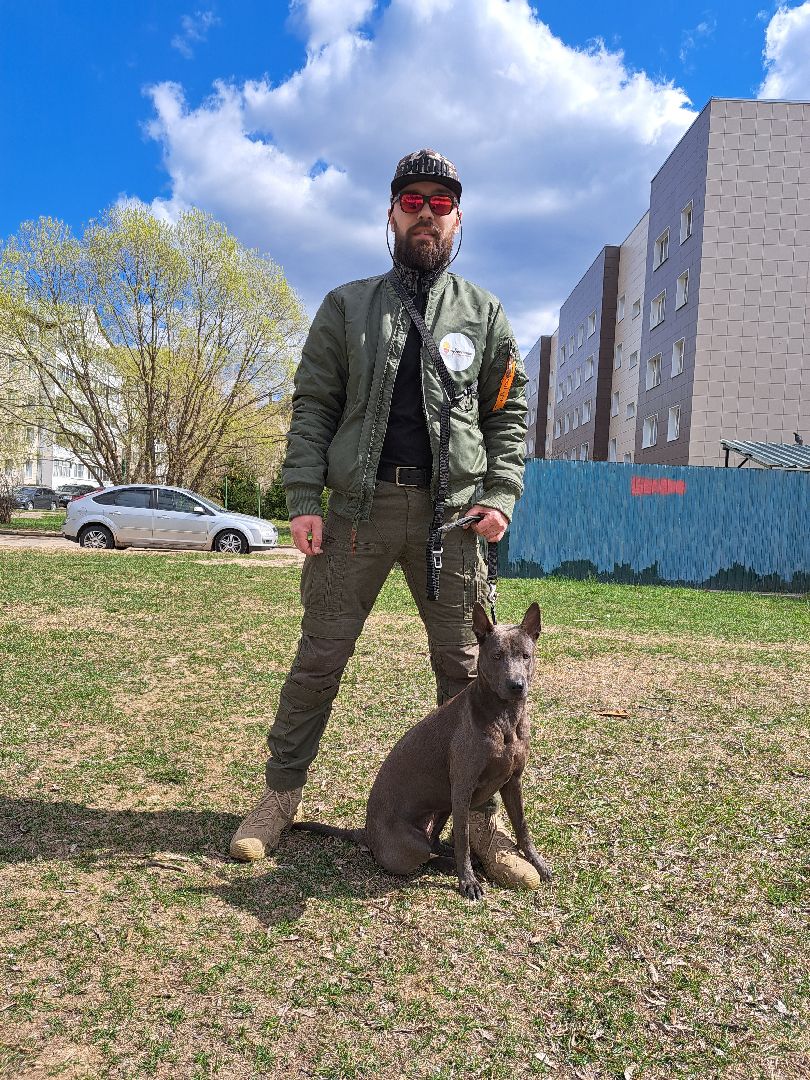 Рузский городской округ, выгул собак, животные, площадки для собак, добродел, голосование