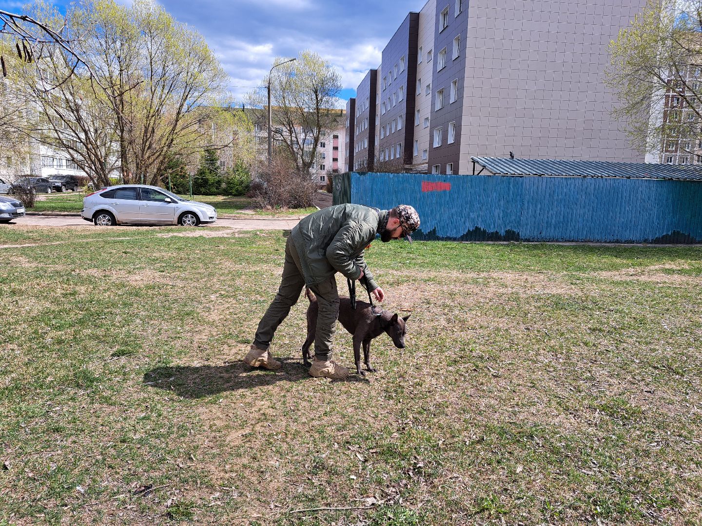 Рузский городской округ, выгул собак, животные, площадки для собак, добродел, голосование