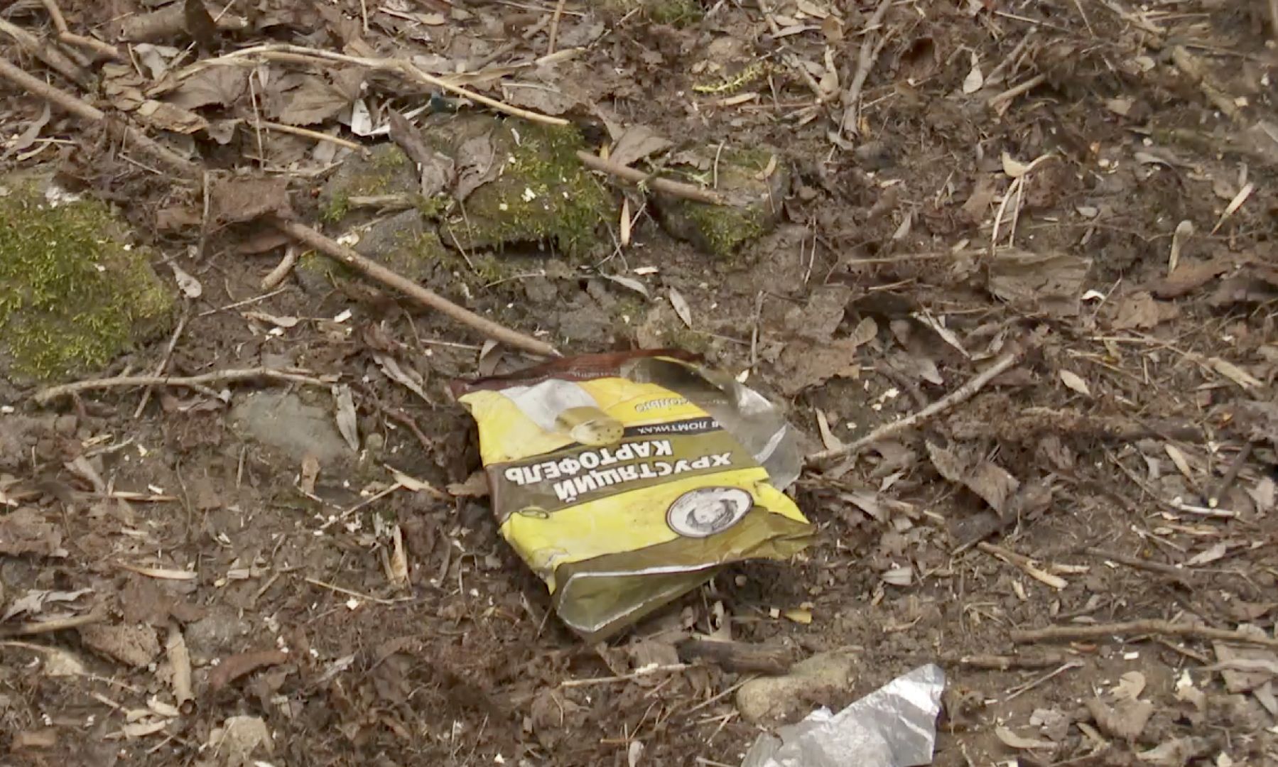 Клин, благоустройство, субботник, люди, месяц чистоты