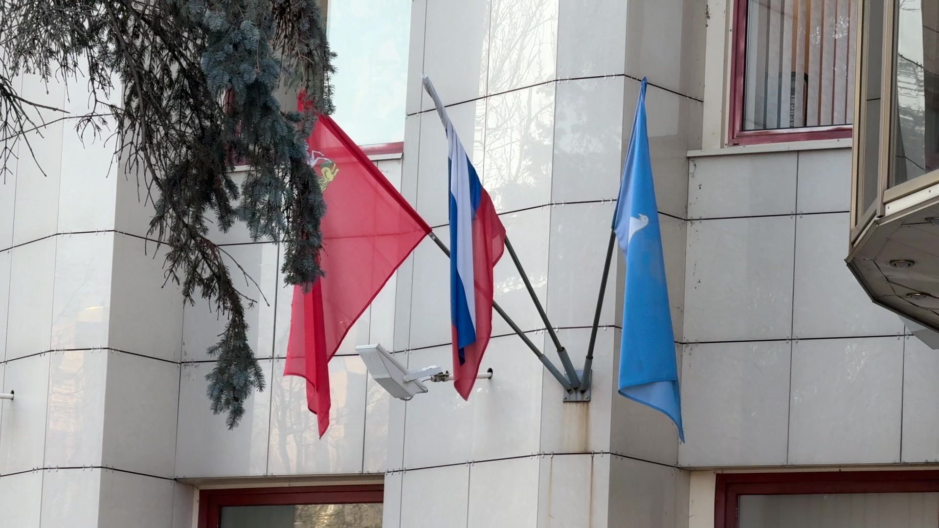 ректов, вертикалки, паспорта, первый паспорт,