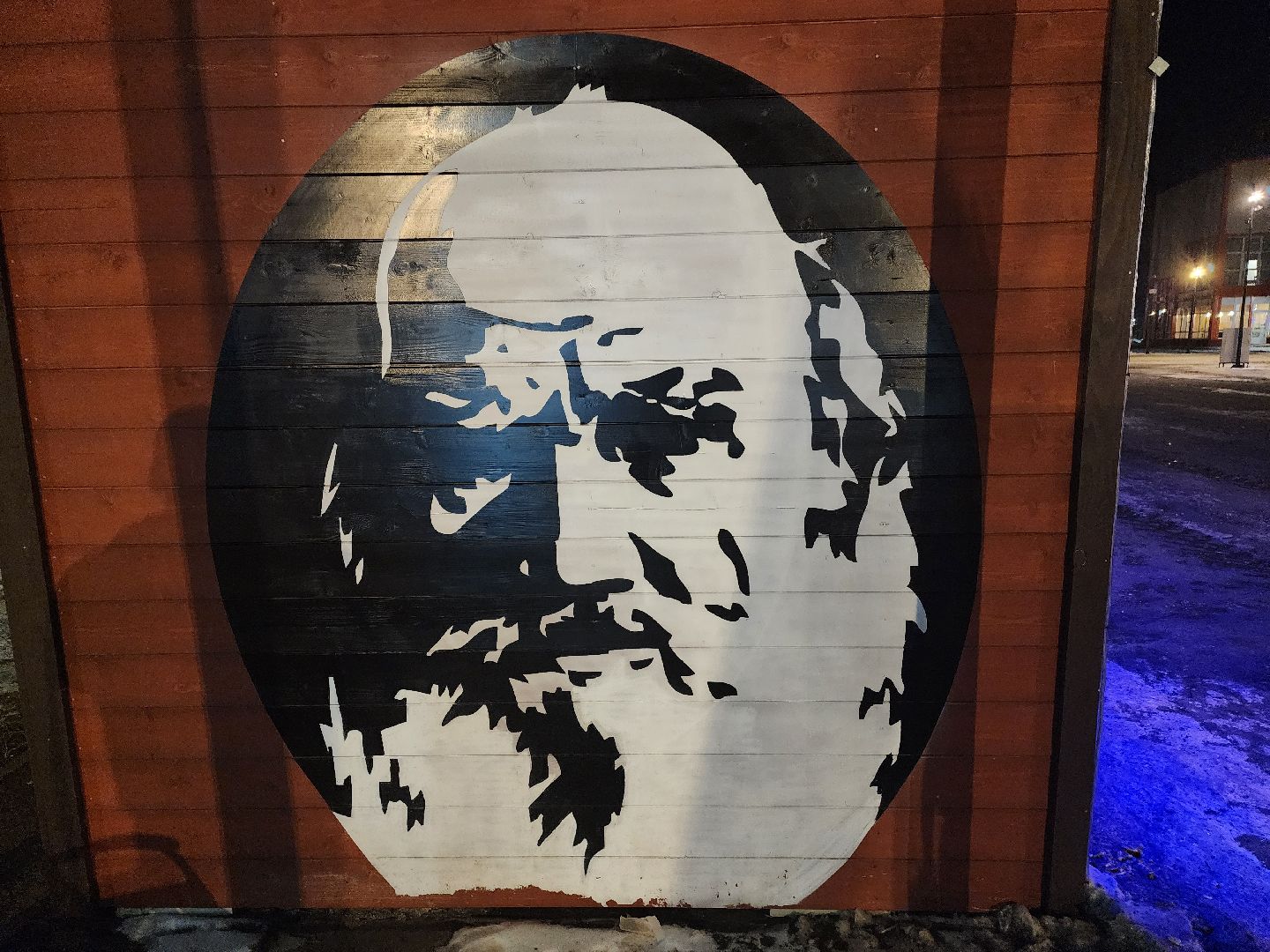 долгопрудный, центральный парк, шкаф буккроссинга, Лев Толстой, любовь к чтению, вертикалки,