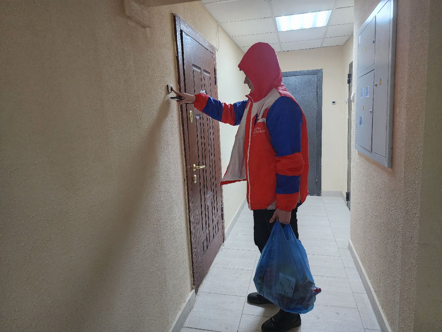 подольск, волонтеры, вертикалки,