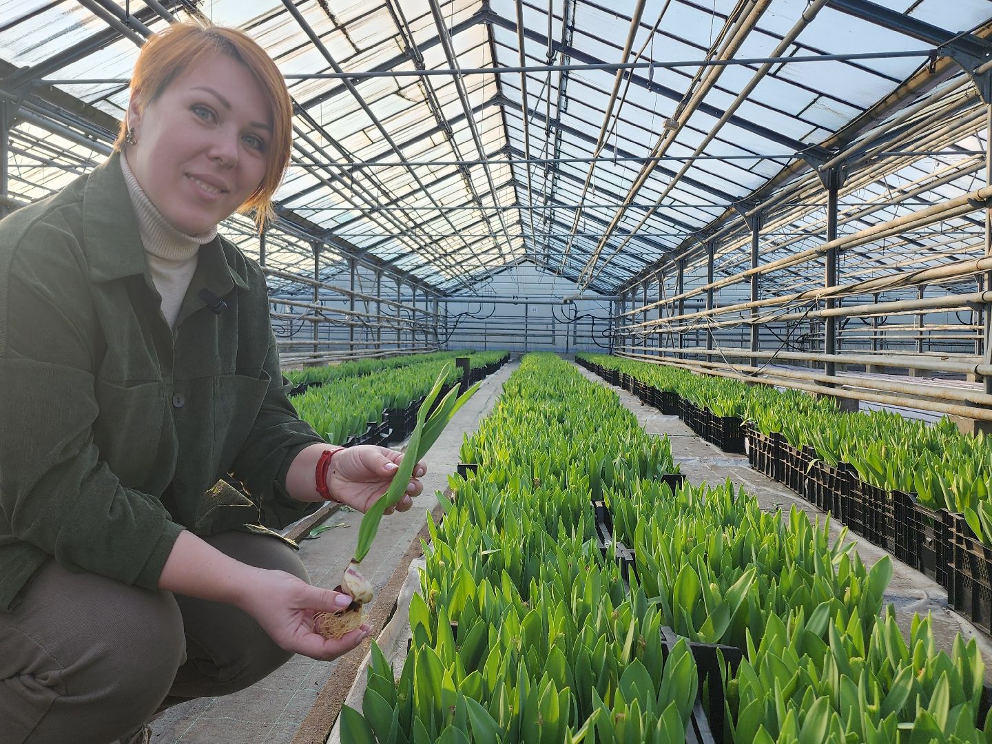 Егорьевск, Подмосковье, Московская область, вертикалки,