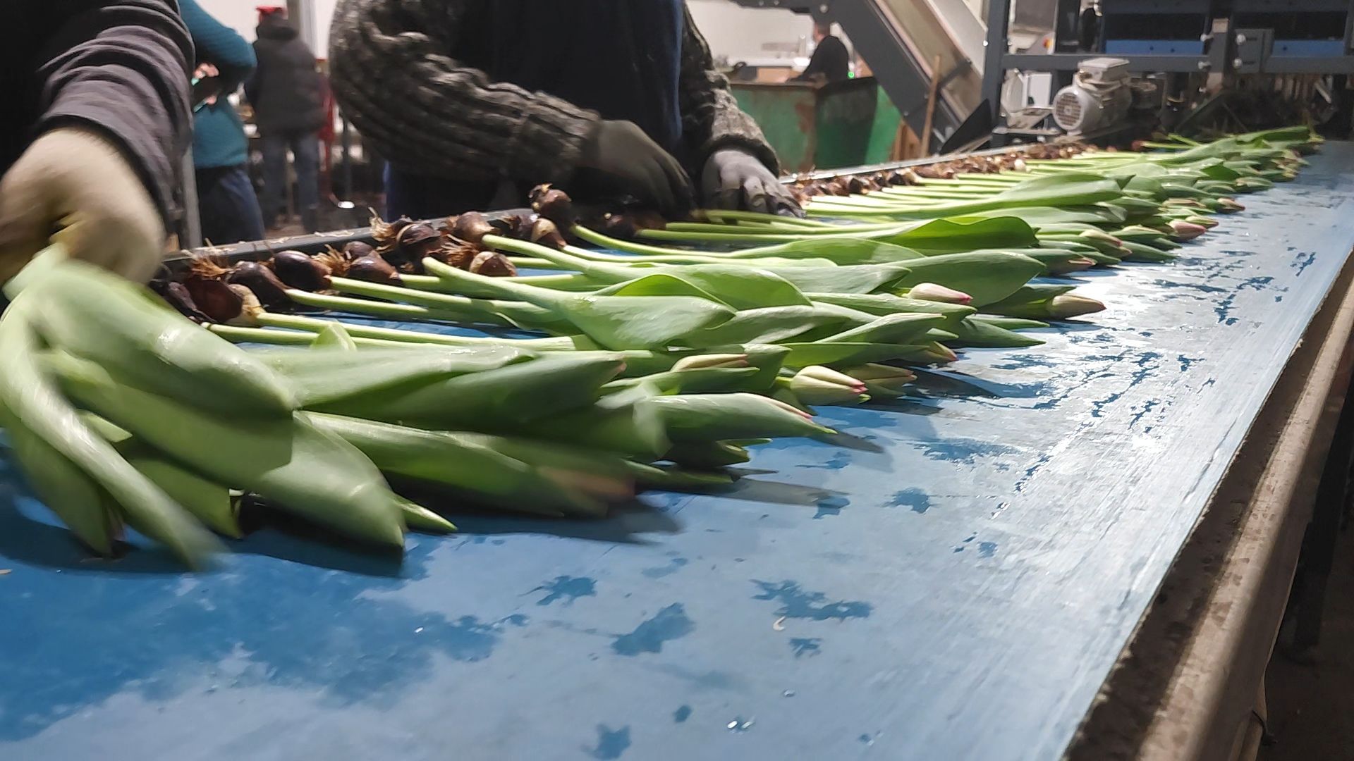 Егорьевск, Подмосковье, Московская область, вертикалки,