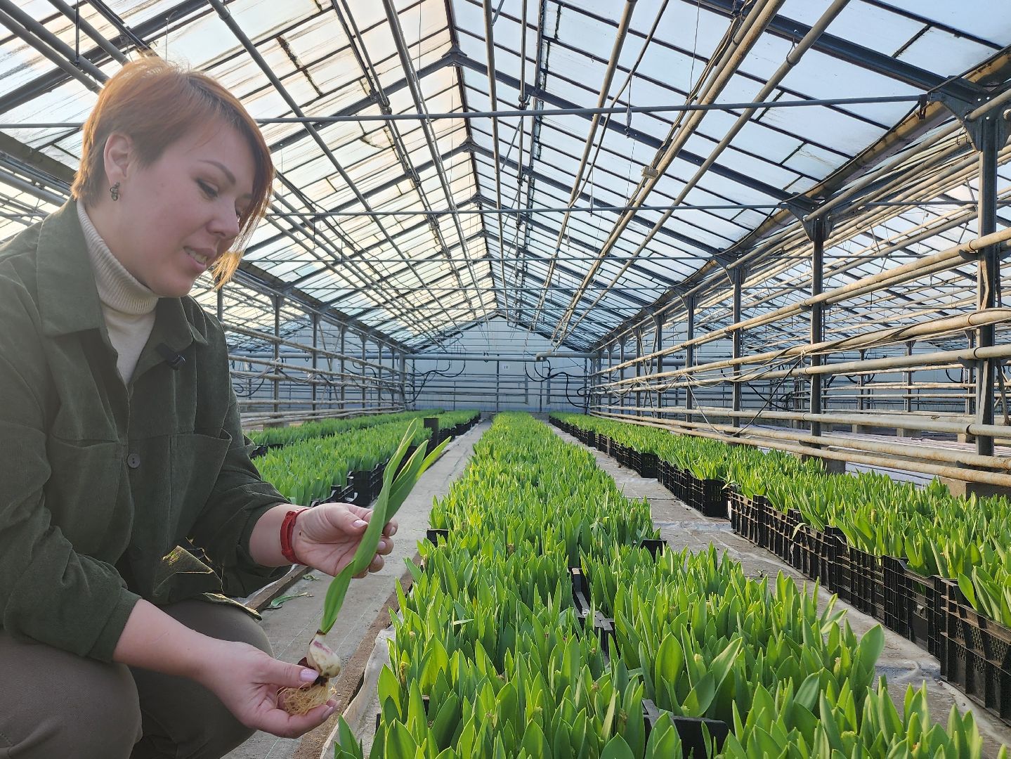 Егорьевск, Подмосковье, Московская область, вертикалки,