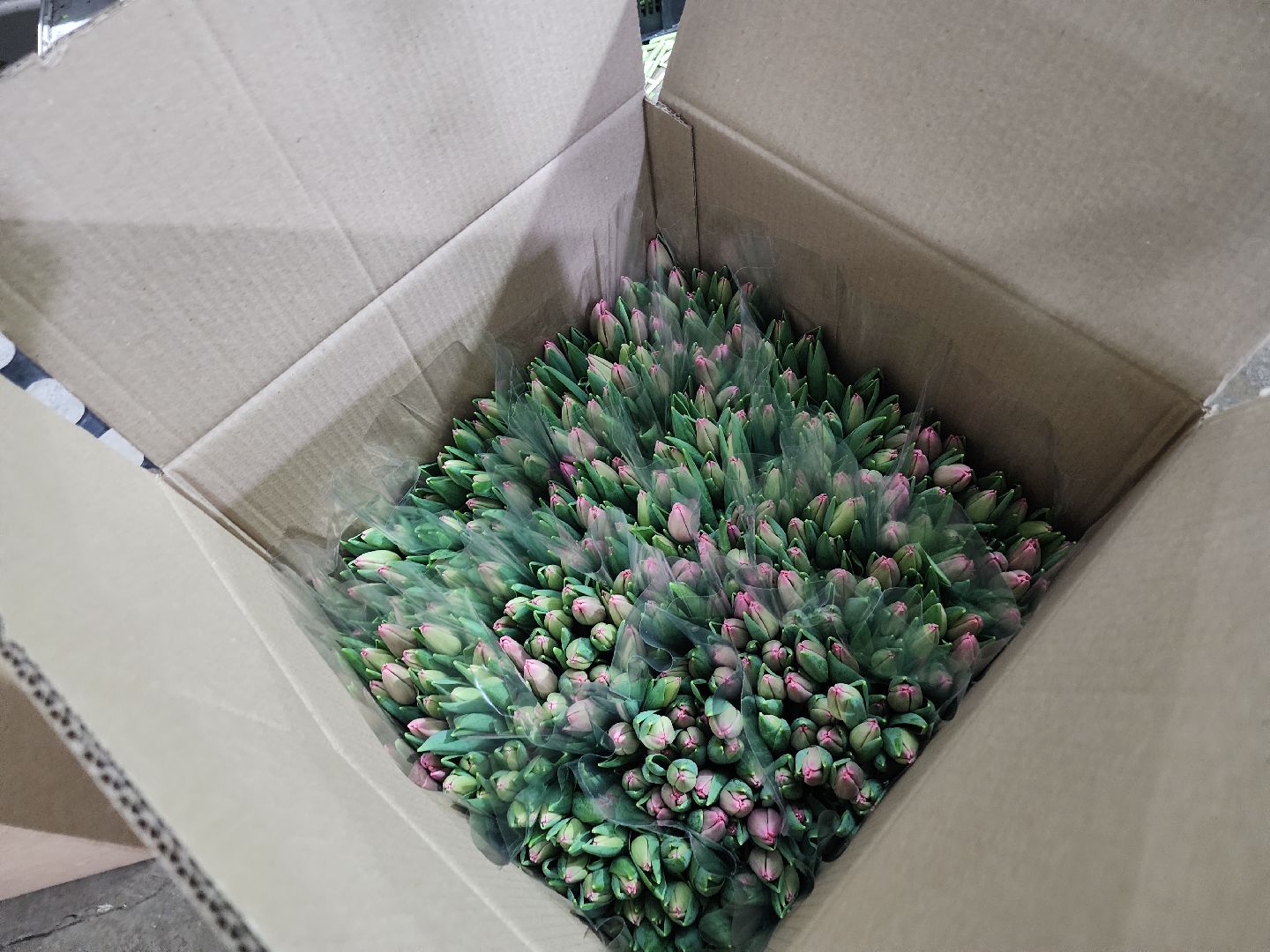 Егорьевск, Подмосковье, Московская область, вертикалки,