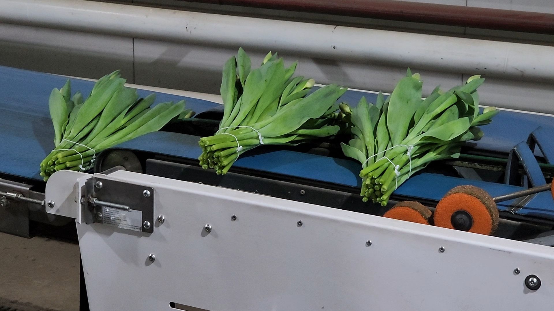 Егорьевск, Подмосковье, Московская область, вертикалки,