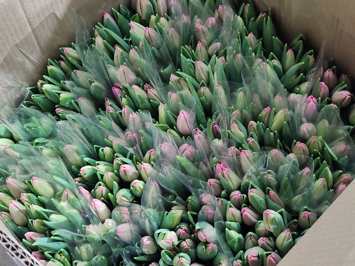 Егорьевск, Подмосковье, Московская область, вертикалки,