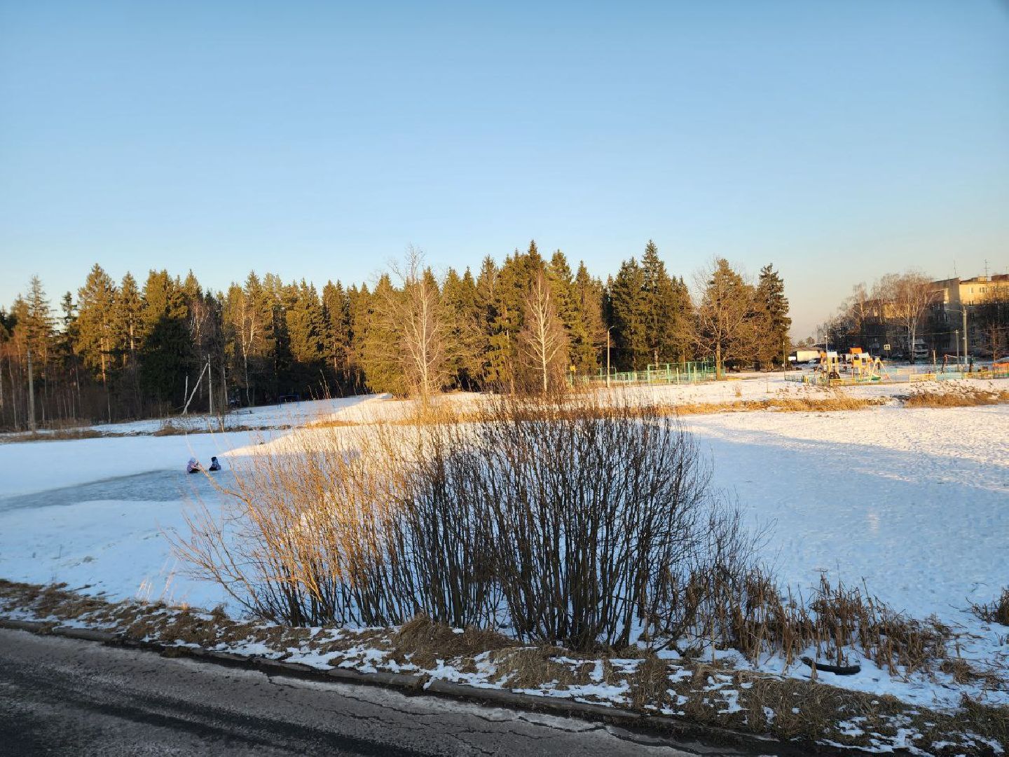 солнечногорск, выездная администрация, жители, проблемы, вертикалки,