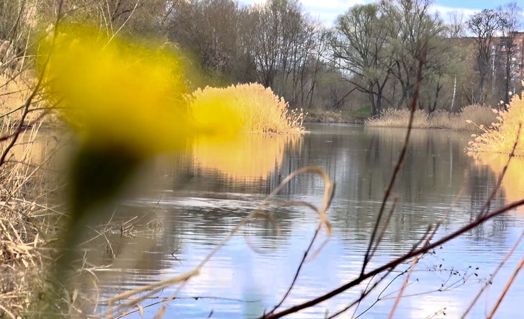 Клин, благоустройство, субботник, люди, месяц чистоты