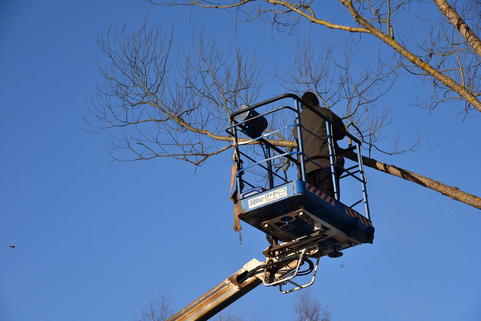 лотошино, калицино, выездная администрация, благоустройство,