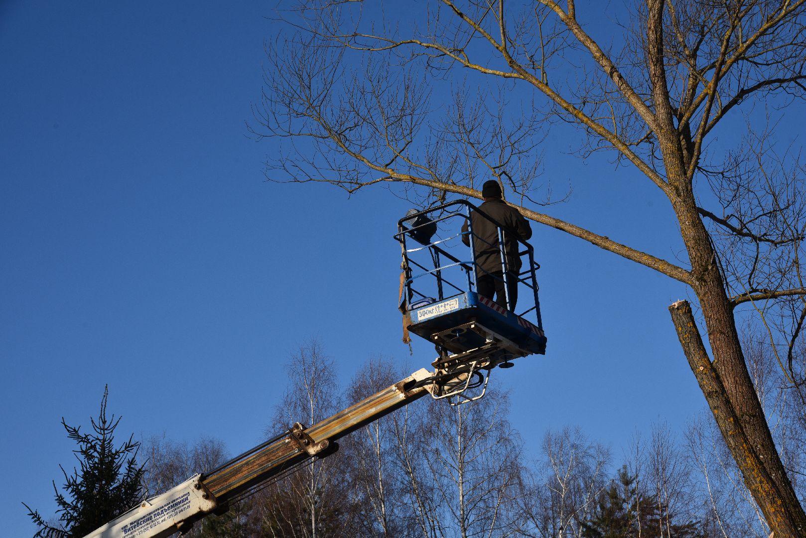 лотошино, калицино, выездная администрация, благоустройство,