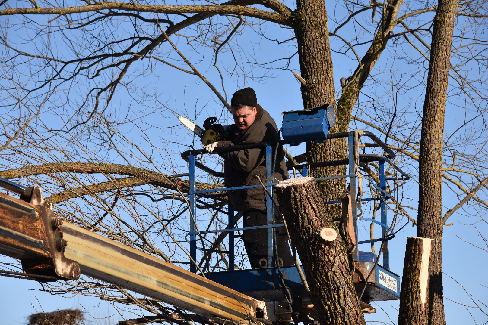 лотошино, калицино, выездная администрация, благоустройство,