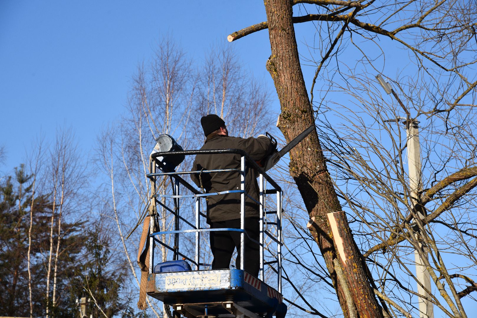 лотошино, калицино, выездная администрация, благоустройство,