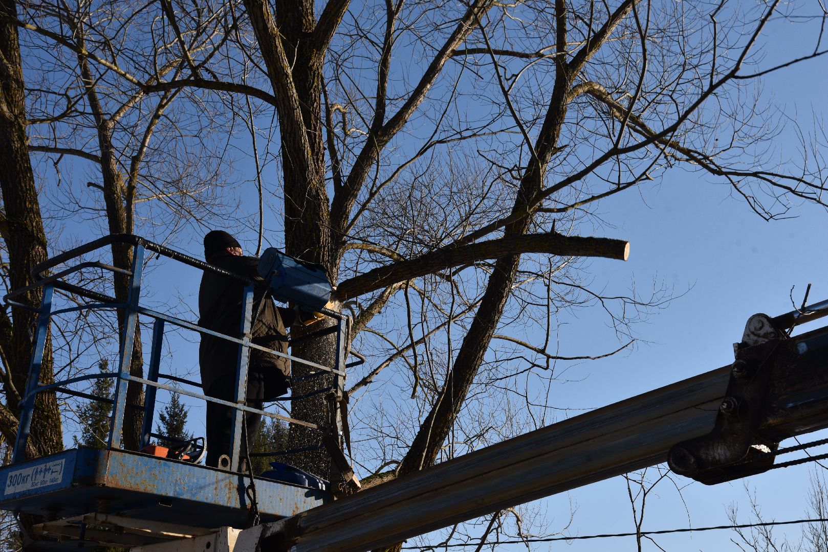 лотошино, калицино, выездная администрация, благоустройство,