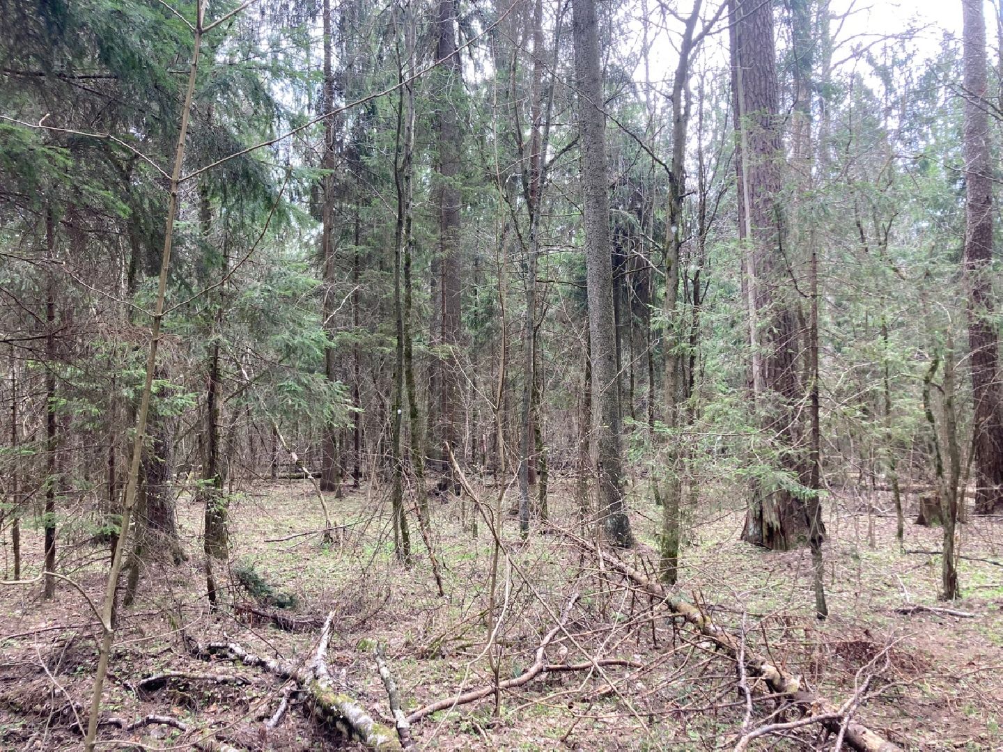 Солнечногорск, инвестиции, торги, инвестпортал, импортзамещение