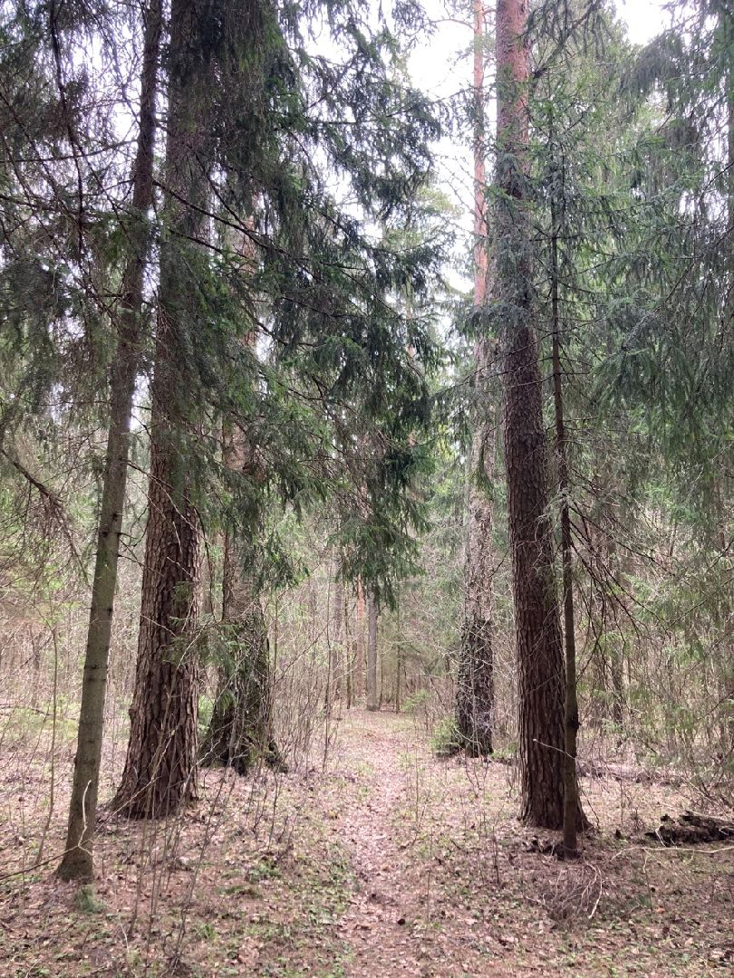 Солнечногорск, инвестиции, торги, инвестпортал, импортзамещение