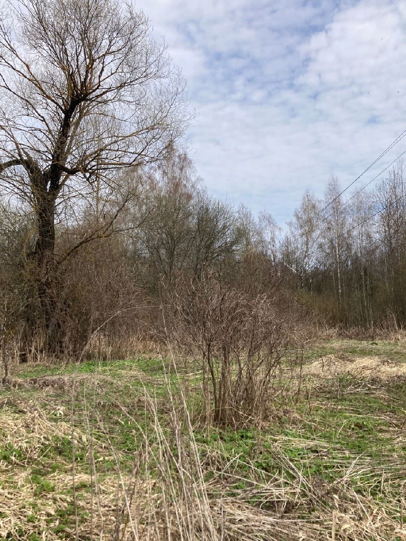 Солнечногорск, инвестиции, торги, инвестпортал, импортзамещение