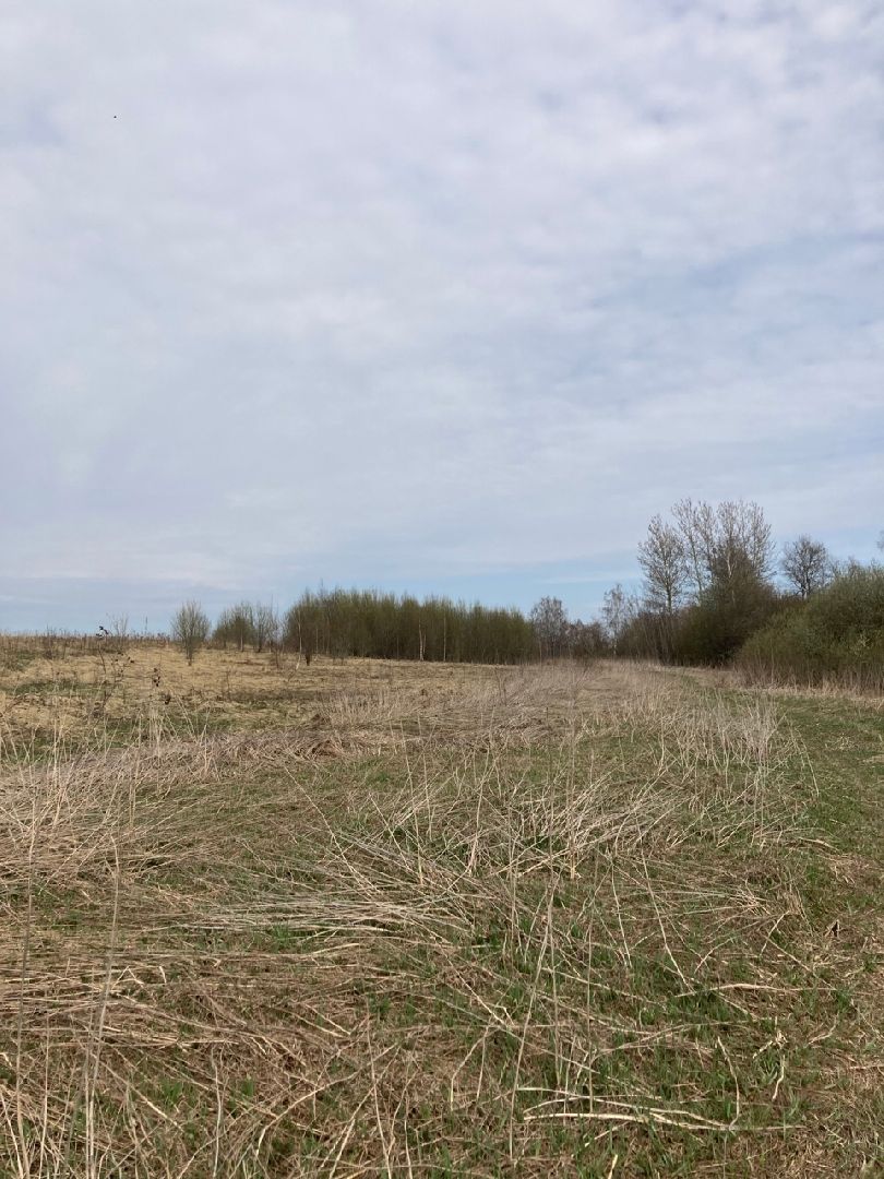 Солнечногорск, инвестиции, торги, инвестпортал, импортзамещение