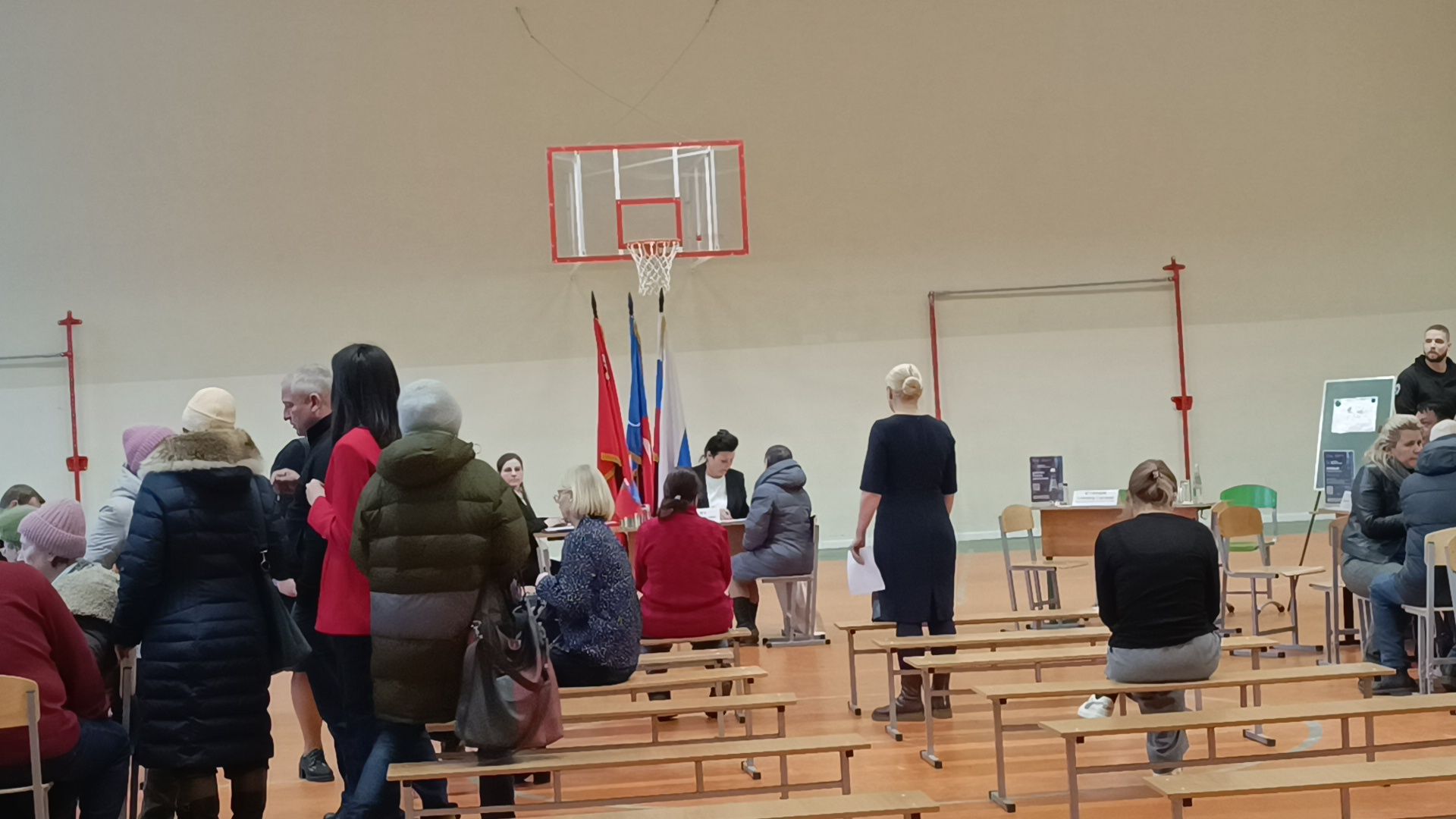 лобня, цветы, вертикалки,