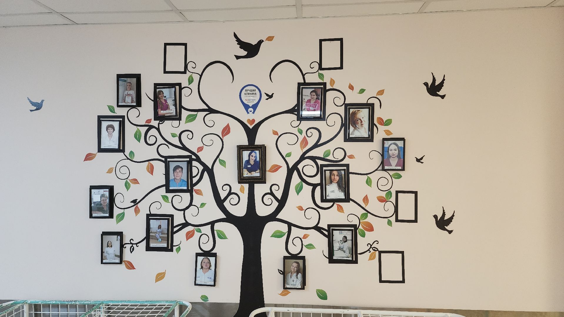 вертикалки, пушкино,перинатальный центр, реанимационное отделение, новорожденные, мамы, медицинское оборудование, врачи,