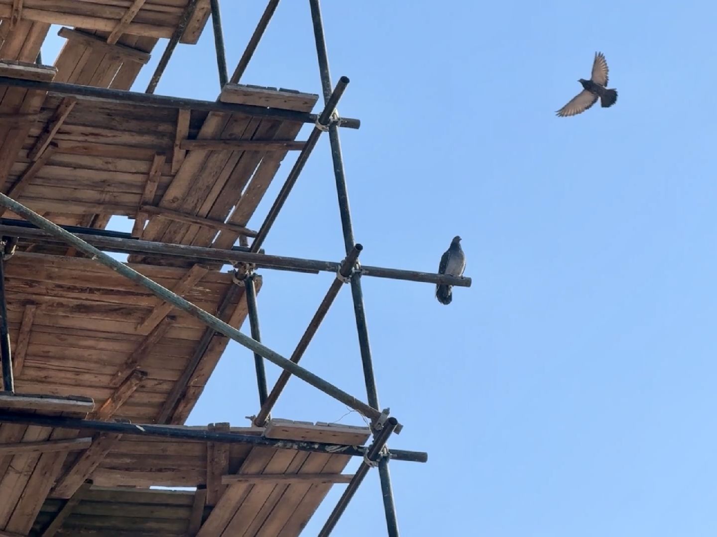 раменское, троицкий храм раменское, благоустройство,