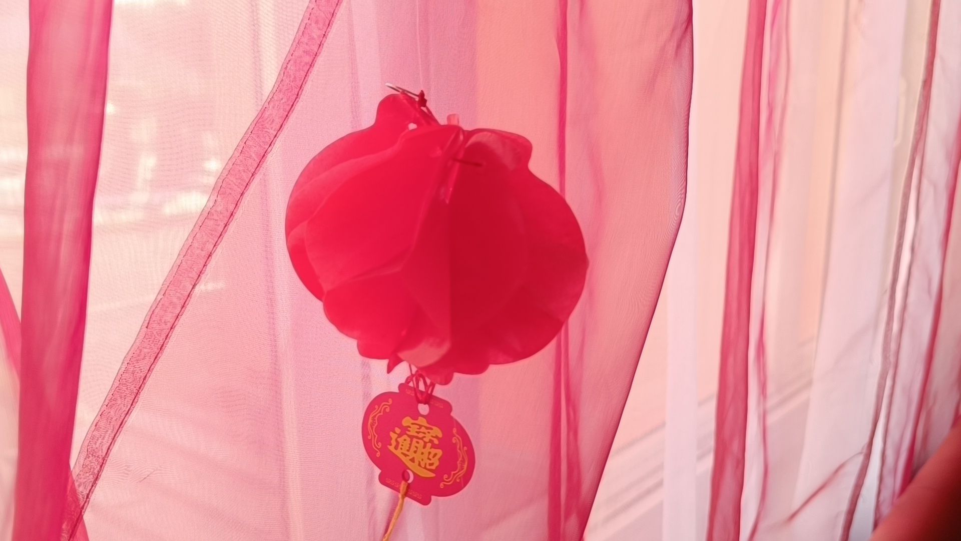 китай, лобня, образование, вертикалки,