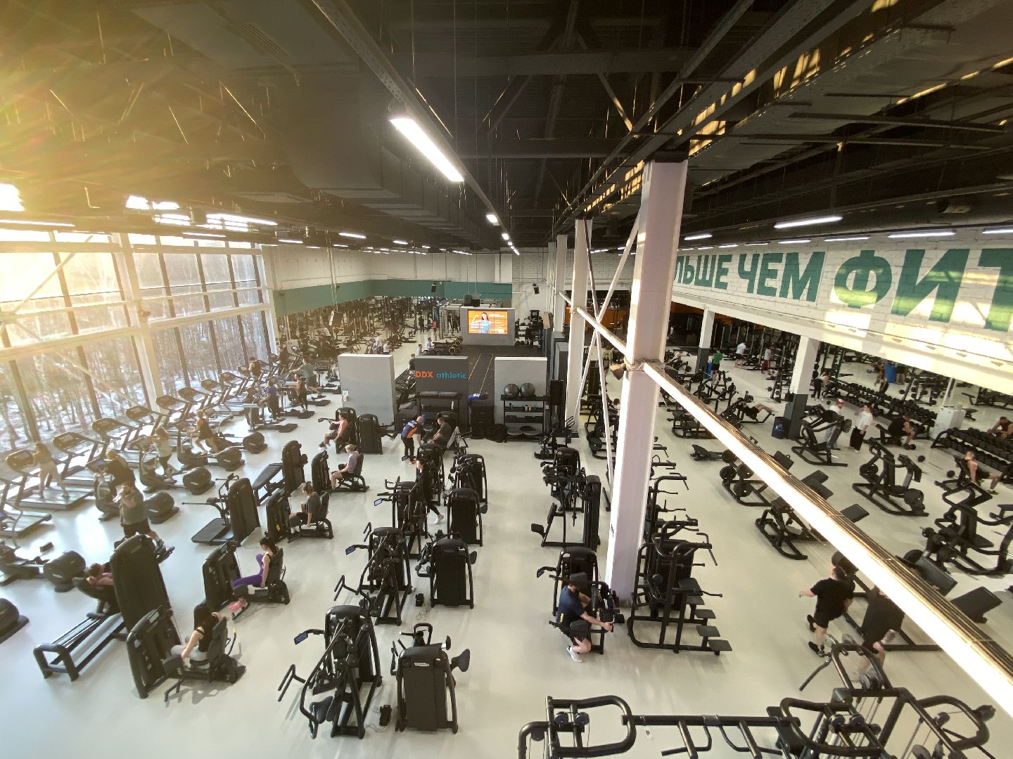 вертикалки, Натальяшарапова, Бодибилдинг, Женскийбодибилдинг, Бодифитнес, Чемпионка,