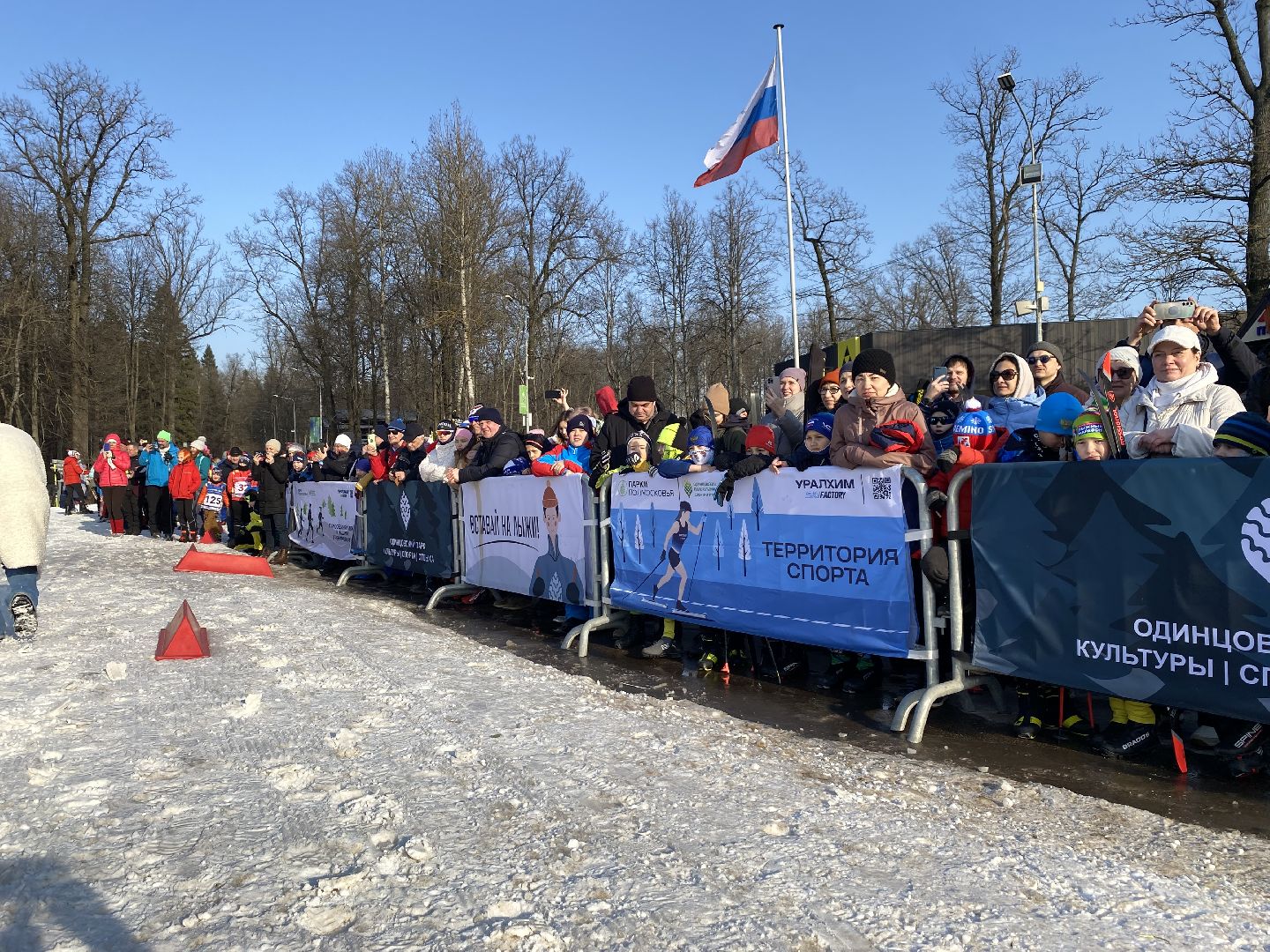 Николай лопухов, вертикалки, Лыжный спорт, Одинцово, Ларисалазутина,