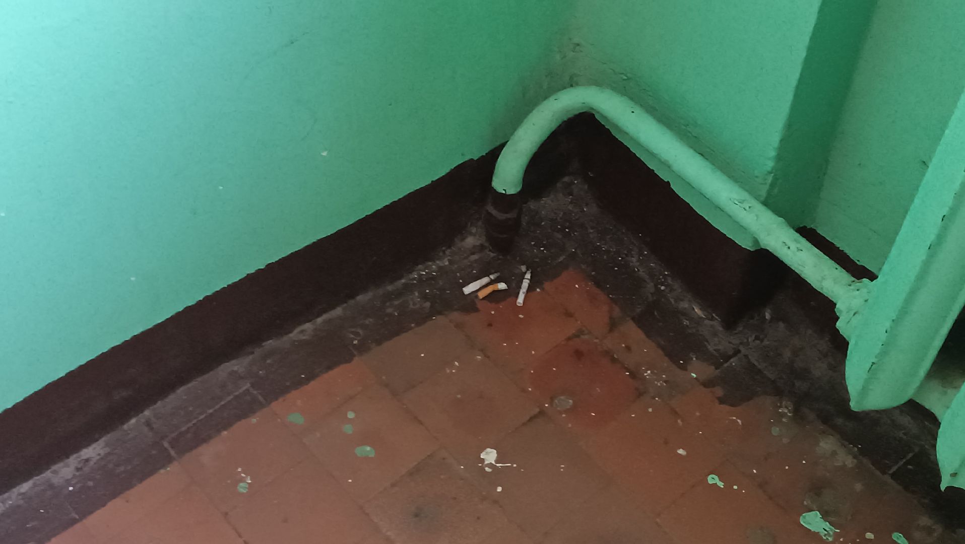 выездная администиация, подъезд, уборка, монино, вертикалки,