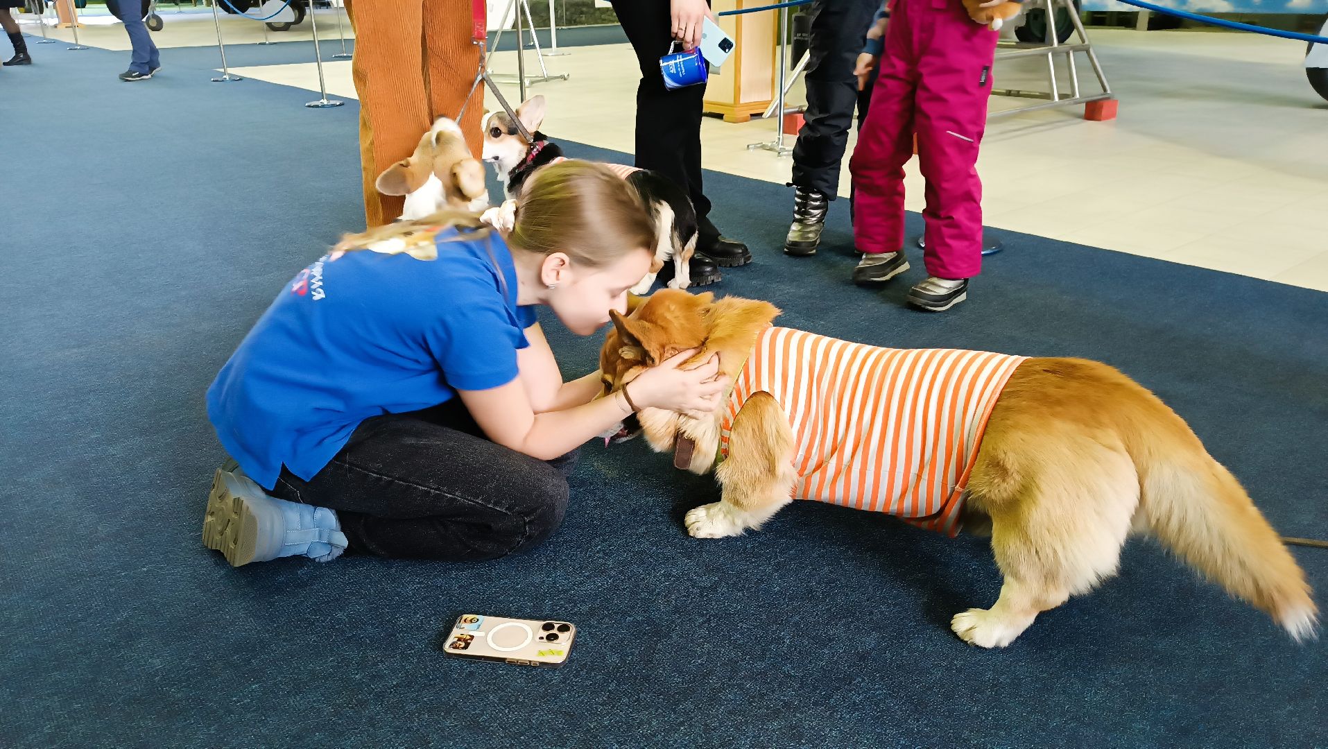 Музей авиации, корги отряд, дети курска, монино, вертикалки,