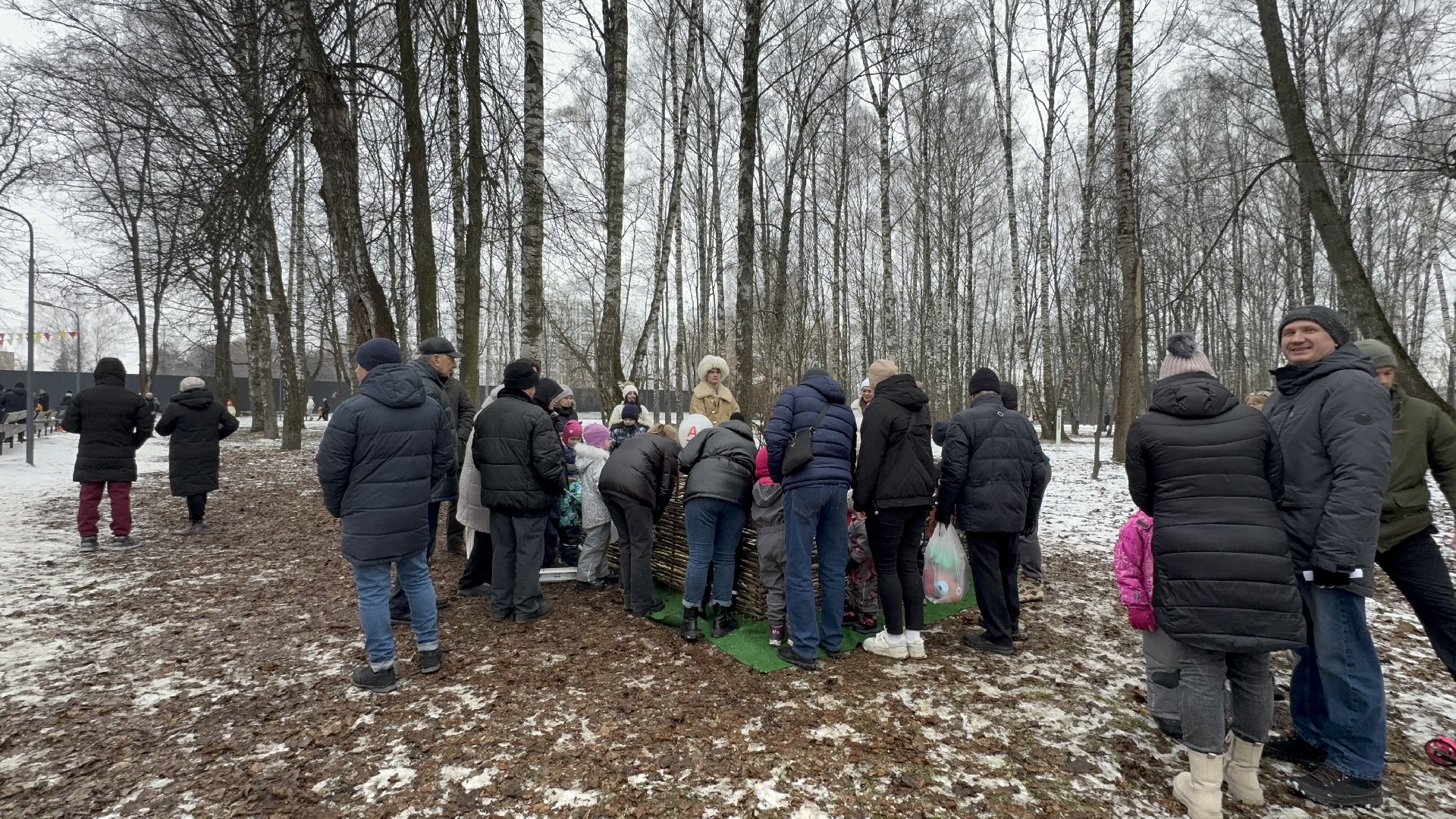 солнечногорск, масленица, праздник, жители, животные, вертикалки,